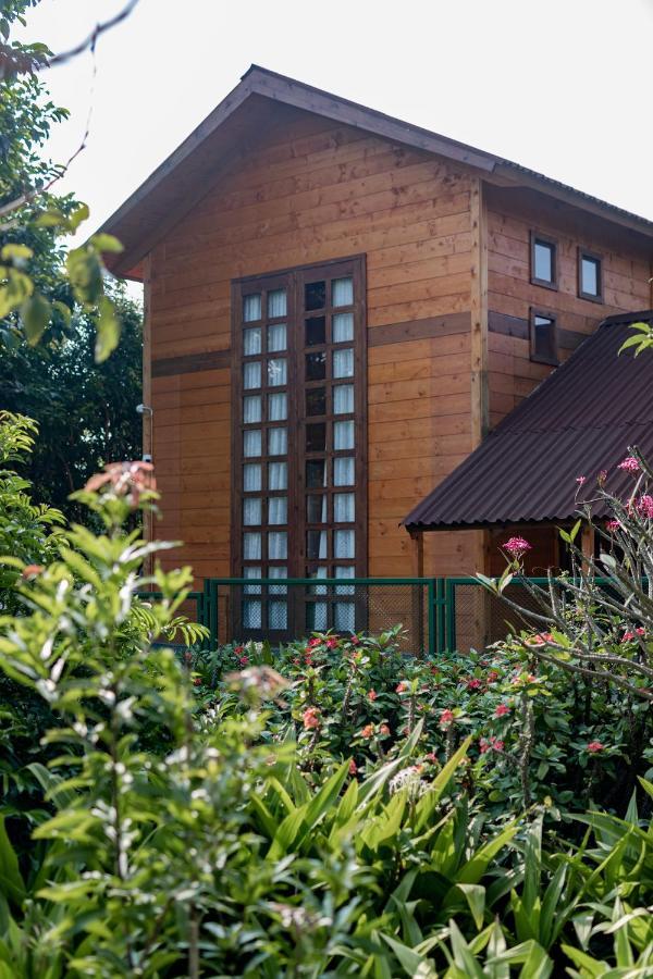 The Pine Loft Villa Bangalore Eksteriør billede